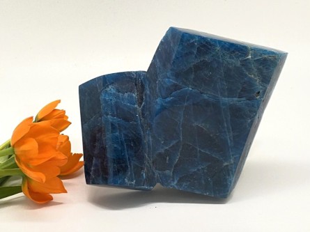 Apatit-Kristall blau, poliert mit orangener Blume